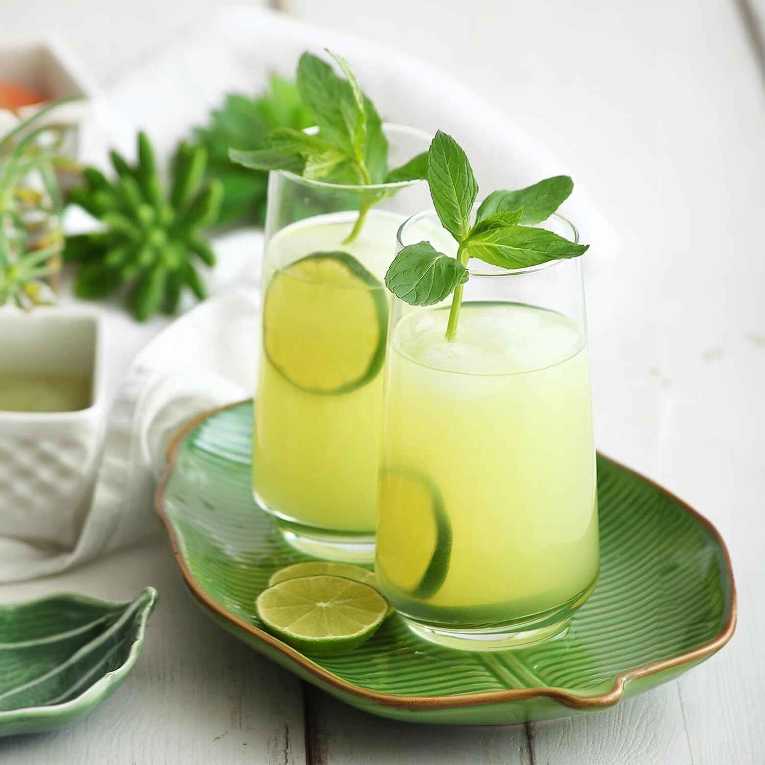 NORDIC SCHILLER Long Drink Glasses, Cocktail Glasses, Set of 6, 480 ml, 100 Pieces, Mojito Free, Water Glasses, Dishwasher Safe, Drinking Glasses, Large Long Drink Glass, Highball Glasses, Coktail