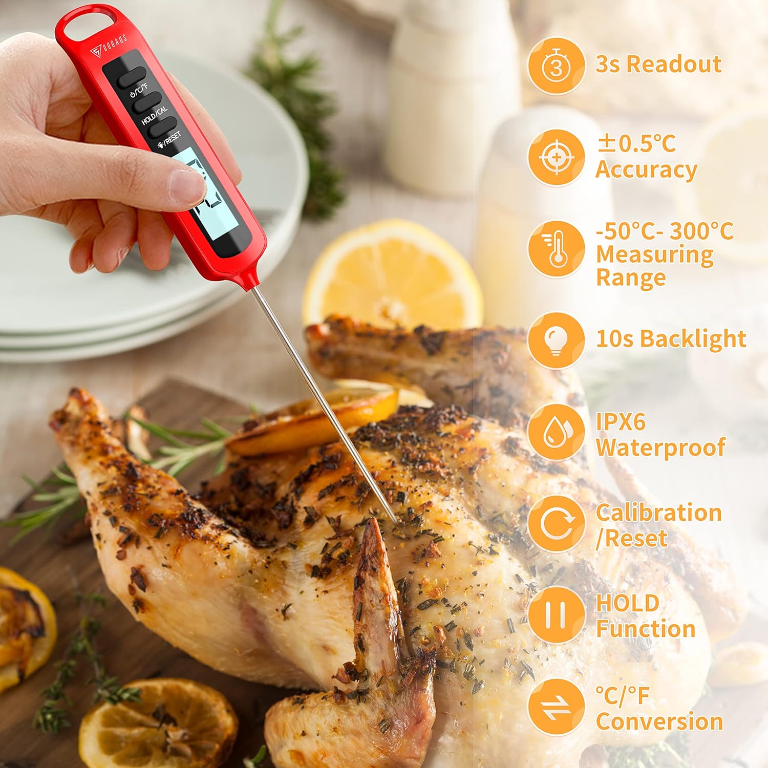 Barbecue Meat Thermometer Digital Accuracy in 3 Seconds - The Silver Spoon